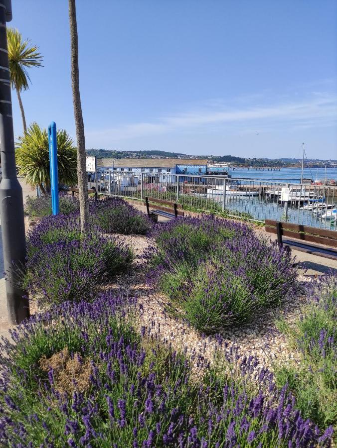 Cleve Court Hotel Paignton Zewnętrze zdjęcie
